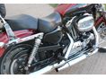 HARLEY-DAVIDSON SPORTSTER 2006/3 - 5