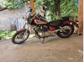 YAMAHA XV 250 (VIRAGO) 