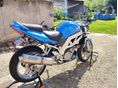 SUZUKI SV 1000 N 