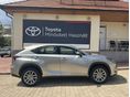 LEXUS NX 2021/9 - 2