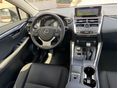 LEXUS NX 2021/9 - 7