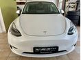 TESLA MODEL Y 2023/2 - 2