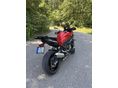 BMW S 1000 XR 2021/1 - 2