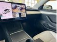 TESLA MODEL 3 2021/6 - 12