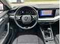 SKODA OCTAVIA 2022/9 - 9