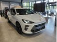 CUPRA TERRAMAR 2.0 TSI Impulse 4Drive DSG