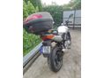 HONDA CBF 500 2006/6 - 5