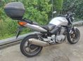 HONDA CBF 500 2006/6 - 7