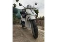 PIAGGIO LIBERTY 50 2020/1 - 2