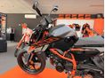KTM 390 DUKE 2026 - 2