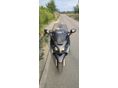 PIAGGIO X EVO 2008/10 - 2