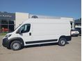 TOYOTA PROACE 2026 - 2