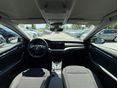 SKODA OCTAVIA 2023/5 - 10
