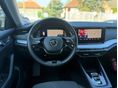 SKODA OCTAVIA 2021/5 - 10