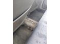 SUZUKI SWIFT 2001/5 - 9
