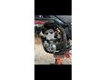 GAS GAS EC 250 2010/6 - 5