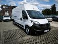 FIAT DUCATO 2021 - 2