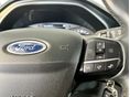 FORD FOCUS 2020/11 - 19