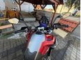 TRIUMPH TIGER 1200 2024/4 - 2