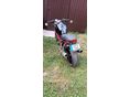 DUCATI MONSTER 600 1998/10 - 5