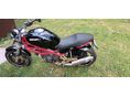 DUCATI MONSTER 600 1998/10 - 6