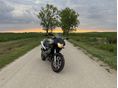 HONDA CB 600 F (HORNET) S