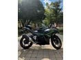 KAWASAKI NINJA 500 2024/7 - 2