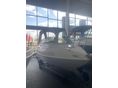 DRAGO BOATS 515