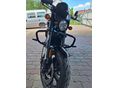 HARLEY-DAVIDSON STREET ROD 2017/6 - 6
