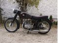 PANNONIA TLF 