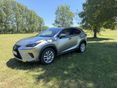 LEXUS NX 300h Prestiege Safety CVT
