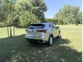LEXUS NX 2019/12 - 4