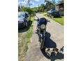 SUZUKI GSF 600 (BANDIT) 1997/6 - 3