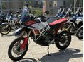 DUCATI DESERTX 2024/7 - 2