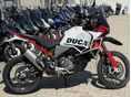 DUCATI DESERTX 2024/7 - 4
