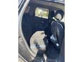 DACIA DUSTER 2020/11 - 11