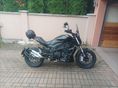 BENELLI 502 C 2024/5 - 2