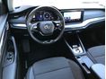 SKODA OCTAVIA 2021/6 - 6