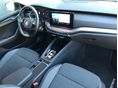 SKODA OCTAVIA 2021/6 - 7