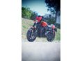 HARLEY-DAVIDSON STREET ROD 2020/4 - 2