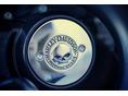 HARLEY-DAVIDSON STREET ROD 2020/4 - 8