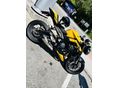 TRIUMPH STREET TRIPLE 2025/3 - 7