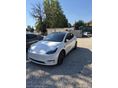 TESLA MODEL Y Performance AWD (Automata)