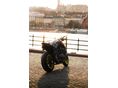 KAWASAKI Z 1000 2014/3 - 5