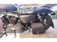 HARLEY-DAVIDSON SPORTSTER 883 IRON 2020/1 - 4