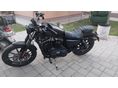 HARLEY-DAVIDSON SPORTSTER 883 IRON 2020/1 - 6
