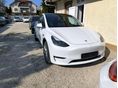TESLA MODEL Y Long Range AWD (Automata)