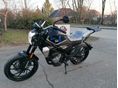 CFMOTO 300 CL-X 2023/11 - 4