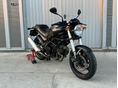 DUCATI MONSTER 695 2006/6 - 1
