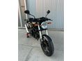 DUCATI MONSTER 695 2006/6 - 12